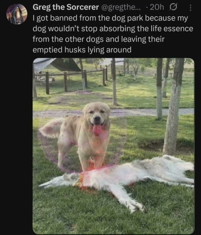 Spot: The Most Vampiric Good Boy