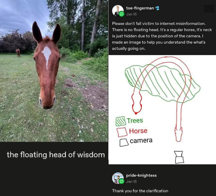Elongated Horse, Diamond Beast Extraordinaire