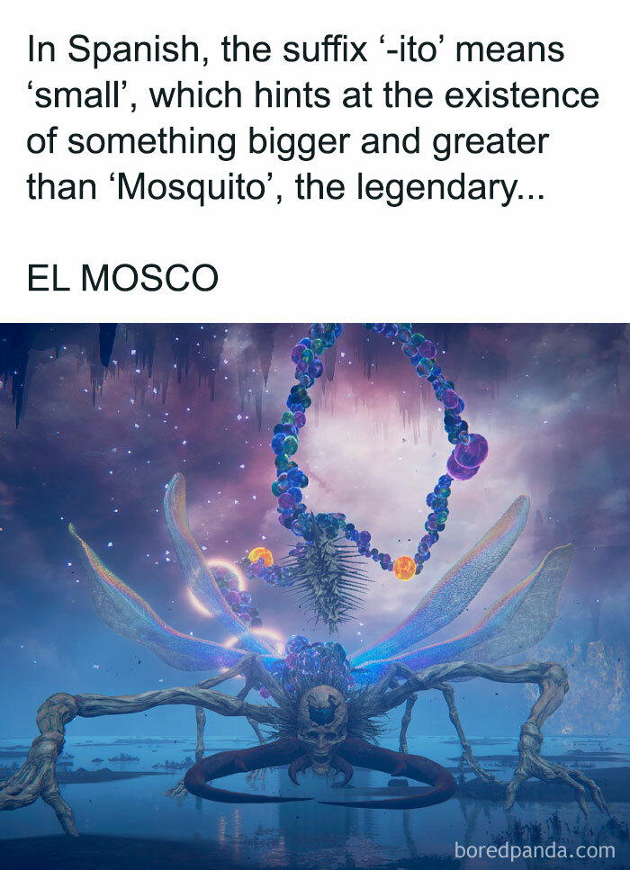 El Musco: Forever Sucker