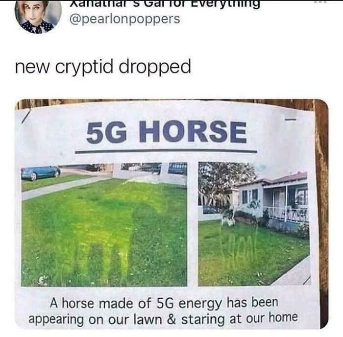 5G Cell Tower Horse: Signal Rider