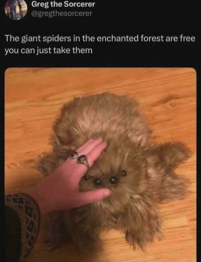 Fuffles: The Giant Spider Roomie