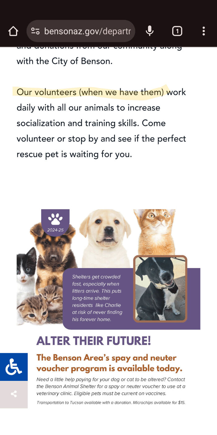 Could the Shelter Use Some Volunteers? Hint: Yes
