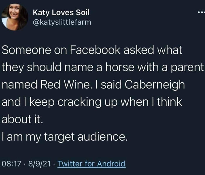 89 Moments When People Said Stuff So Honestly, We Just Had To Laugh