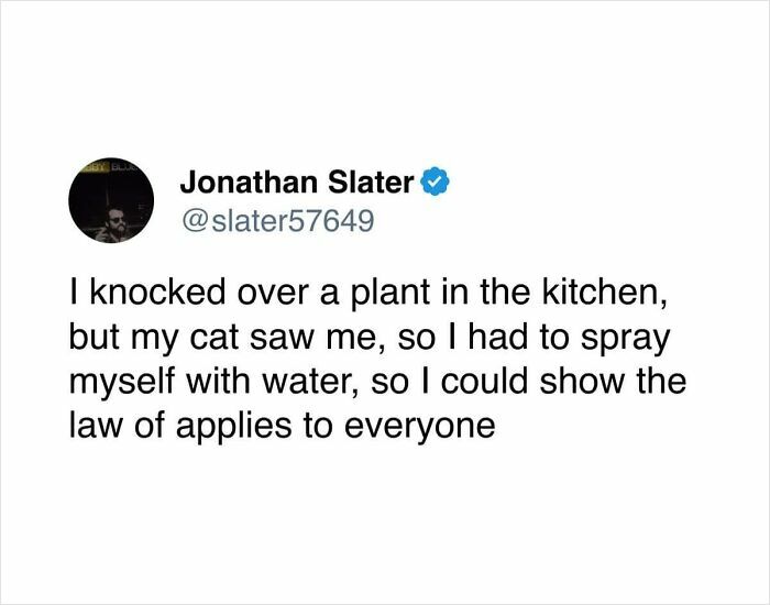 89 Moments When People Said Stuff So Honestly, We Just Had To Laugh