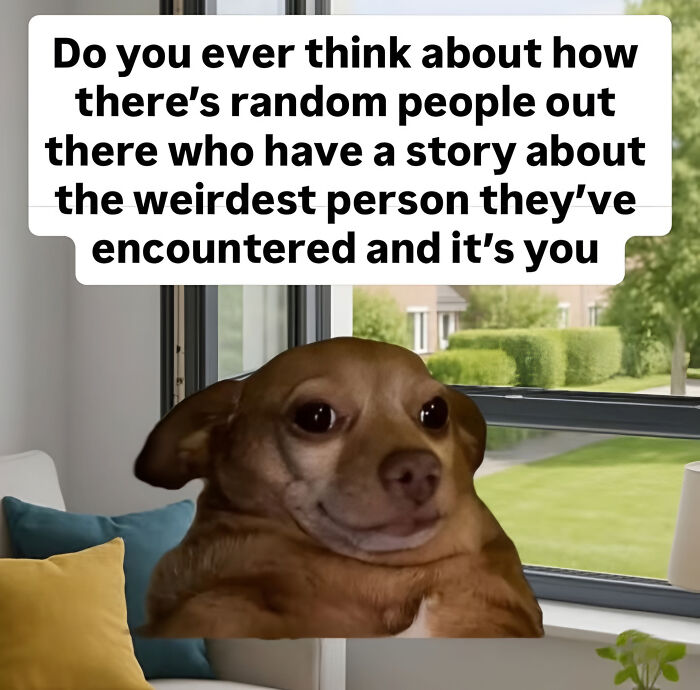 89 Moments When People Said Stuff So Honestly, We Just Had To Laugh