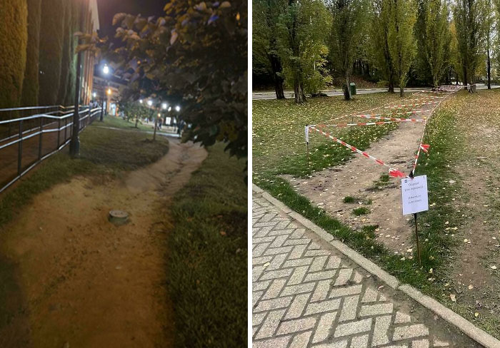 Wait, People Actually Walk Their Own Way? Crazy Desire Path Pics!