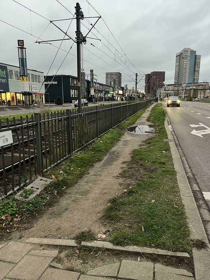 Desire Path Caught In Utrecht