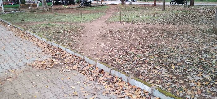 Desire Paths Collide At Mysuru Uni