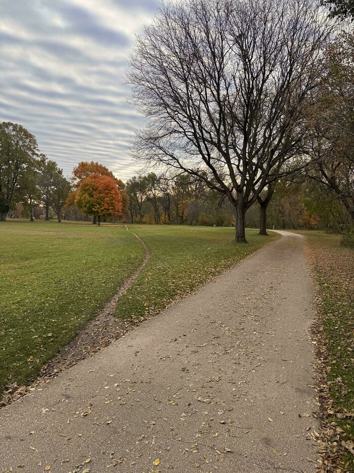 Does A Cyclist’s Desire Path Count?