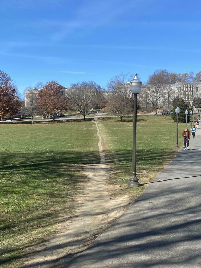 Looooong, Loving Desire Path