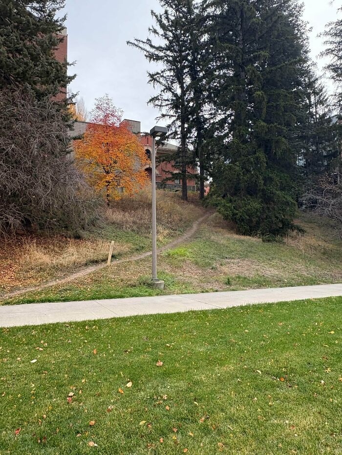 Sometimes You Just Gotta Hike To Class