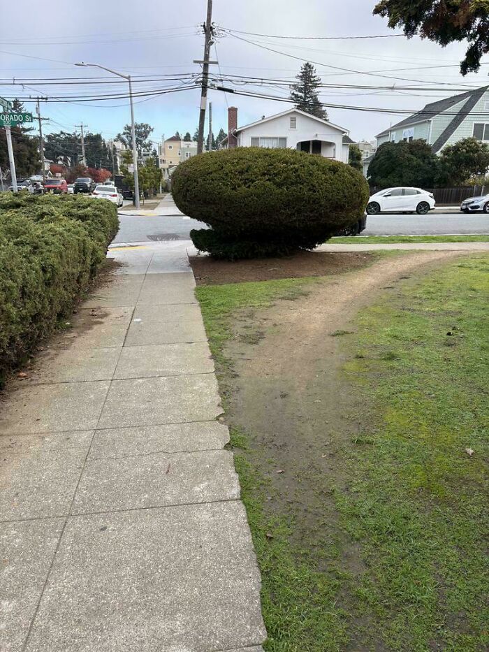 Secret Corner Lawn Trail