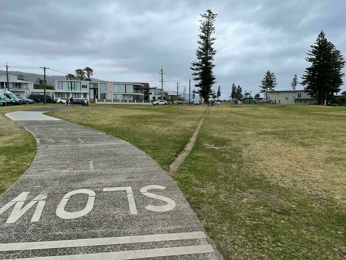 Wollongong’s Desire Path Surprise