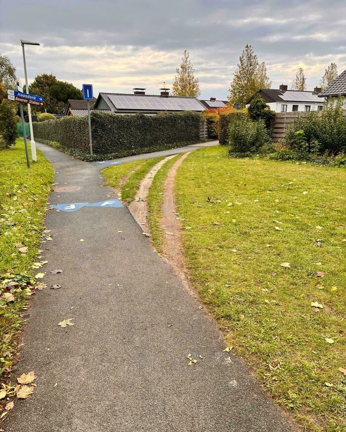 A Triple Threat Desire Path