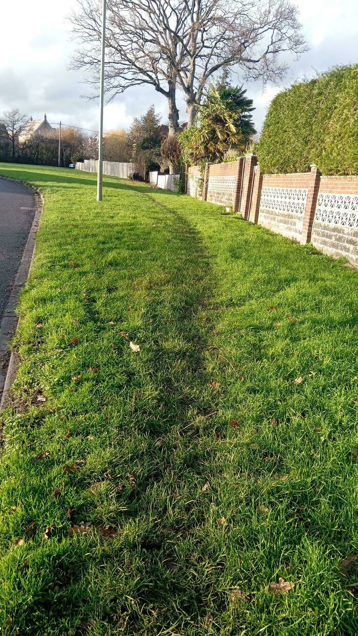 Freshly Forged Desire Path