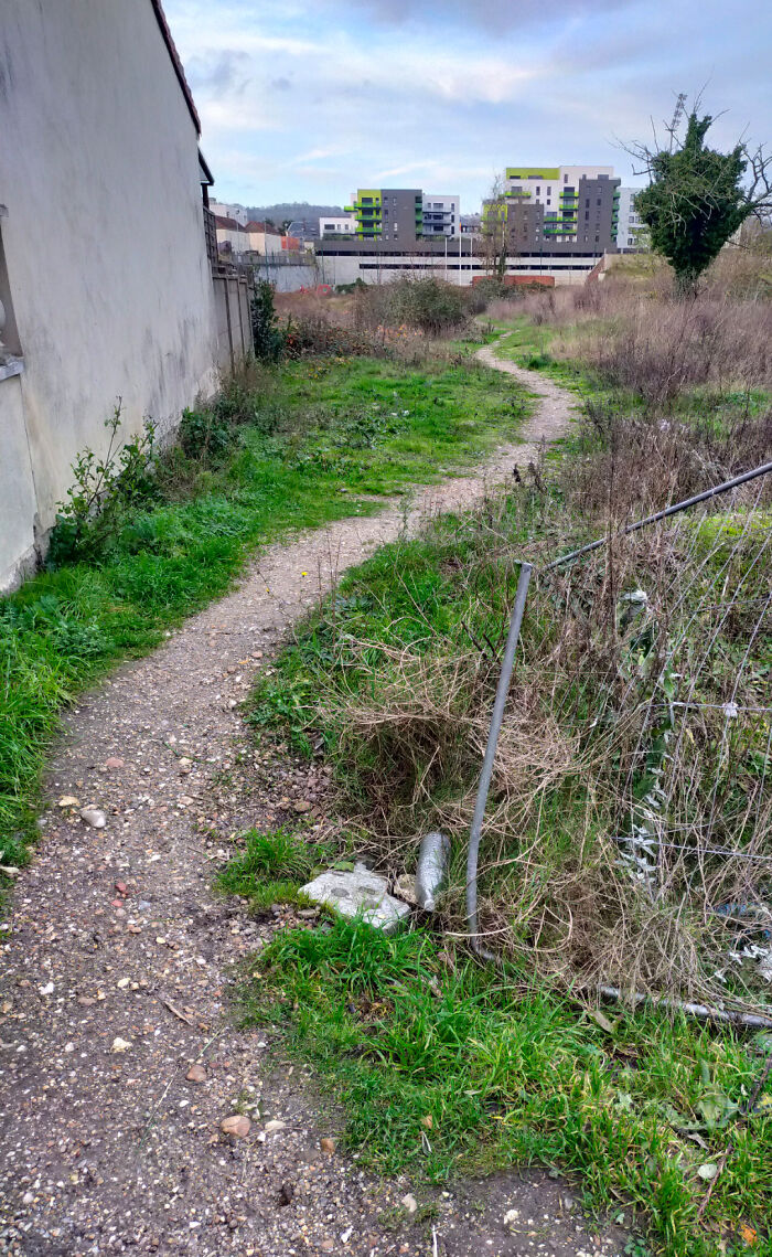 Desire Path To Nowhere, But It’s A Path!