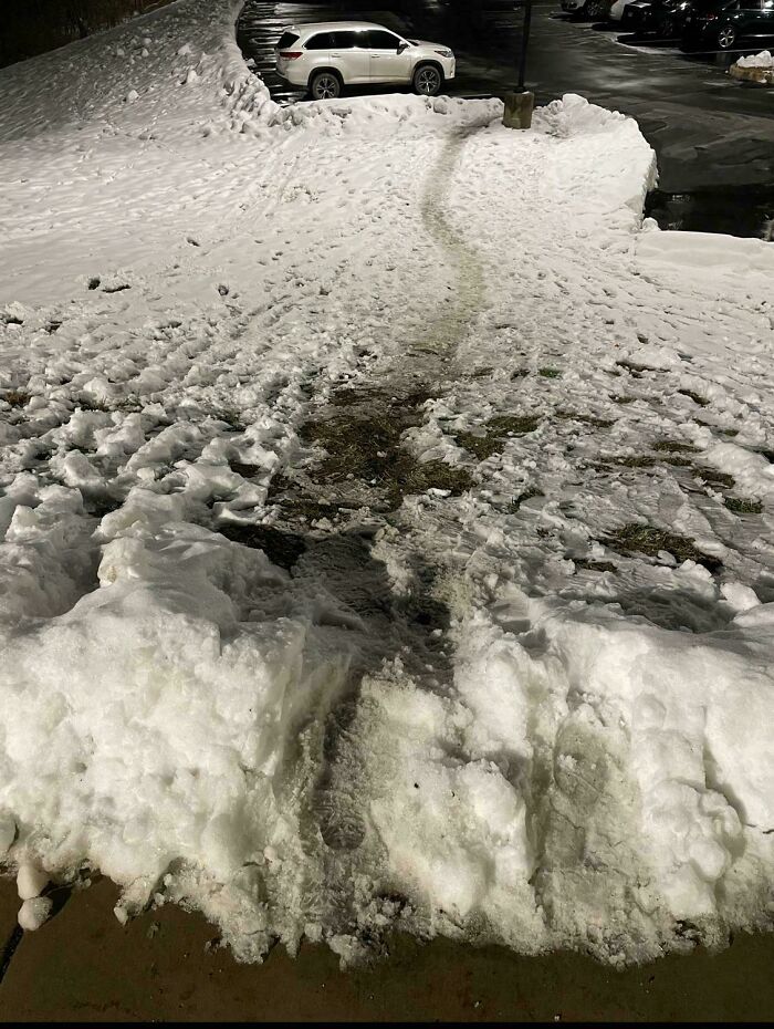 Snow Won’t Stop This University Desire Path