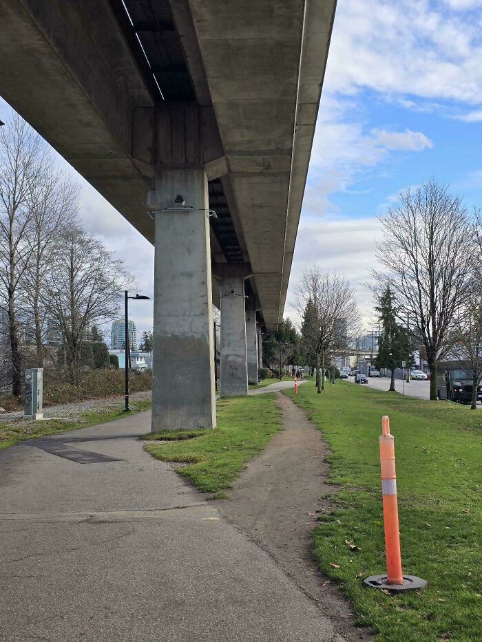 Cones Tried To Stop It, But Nope