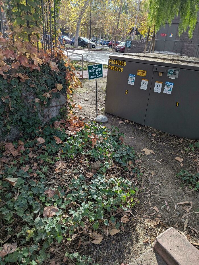 Look What They Did To My Poor Desire Path