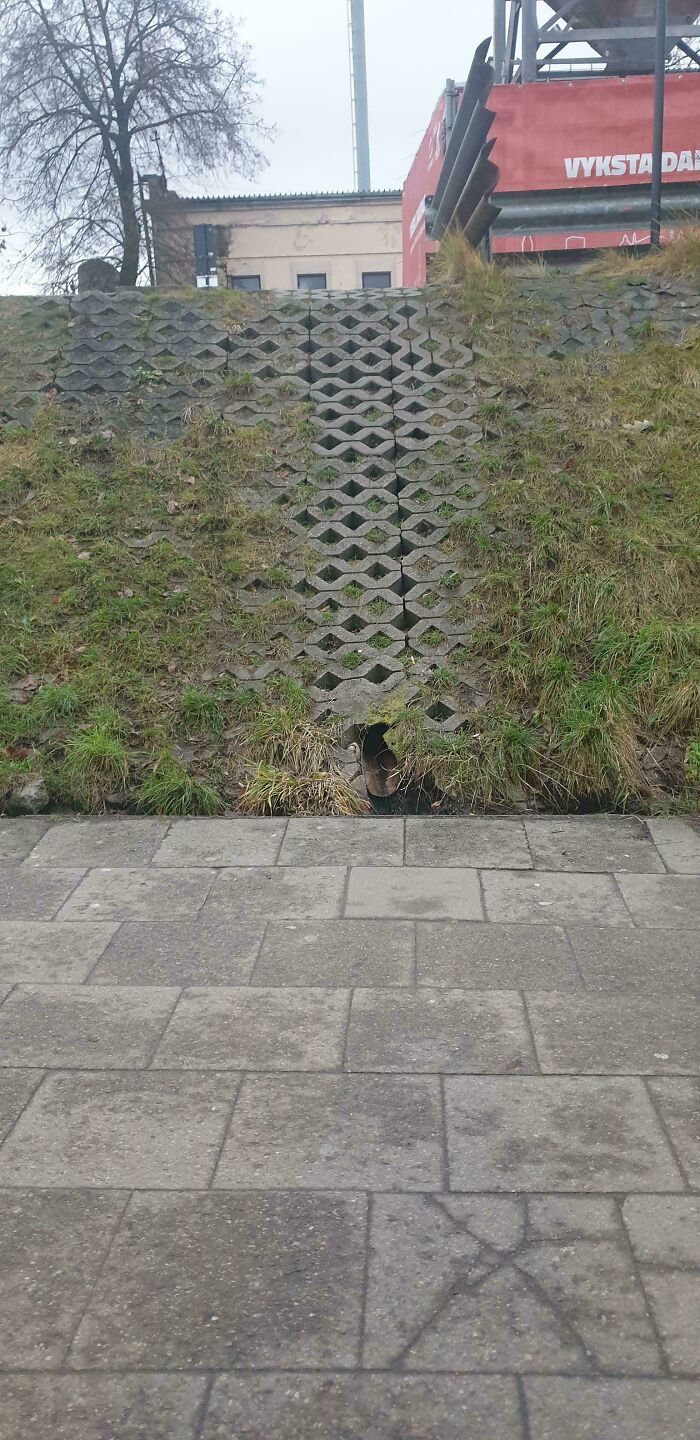 Desire Stairs – Because Stairs Are Too Mainstream