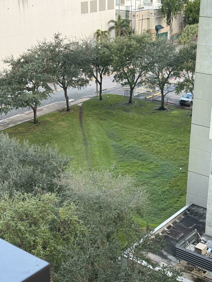 Spotted From Above: Desire Path Magic