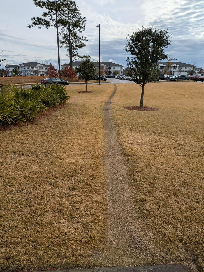 Outside My Doctor’s Office Shortcut