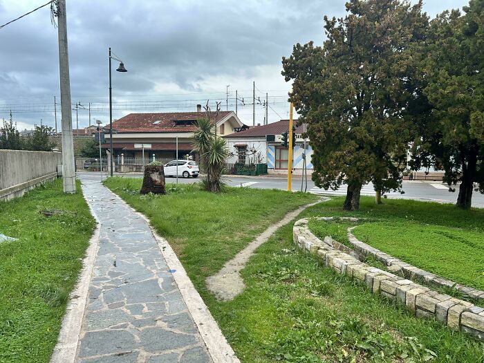 Who Knew Zebra Crossings Are Optional?
