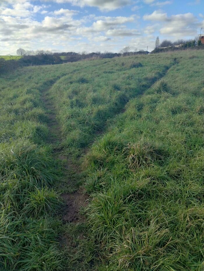 Double Trouble Desire Path