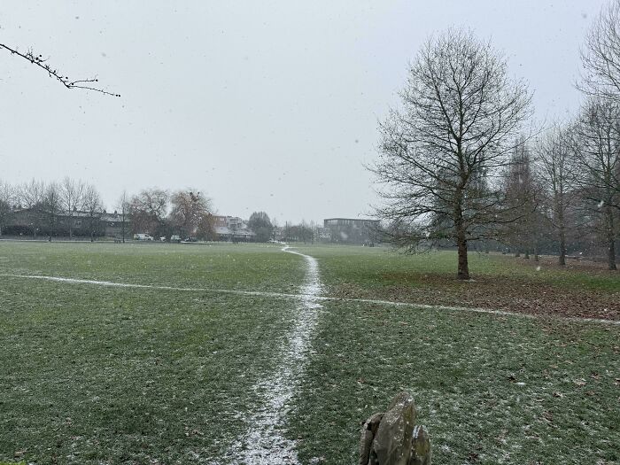 Snow Shows My Deepest Desires