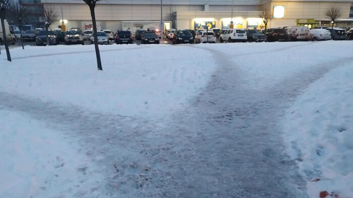 Winter Desire Paths Are The Best Desire Paths