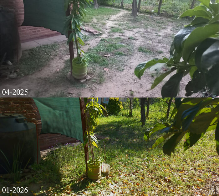 My Doggo’s Path Is Fading Away...