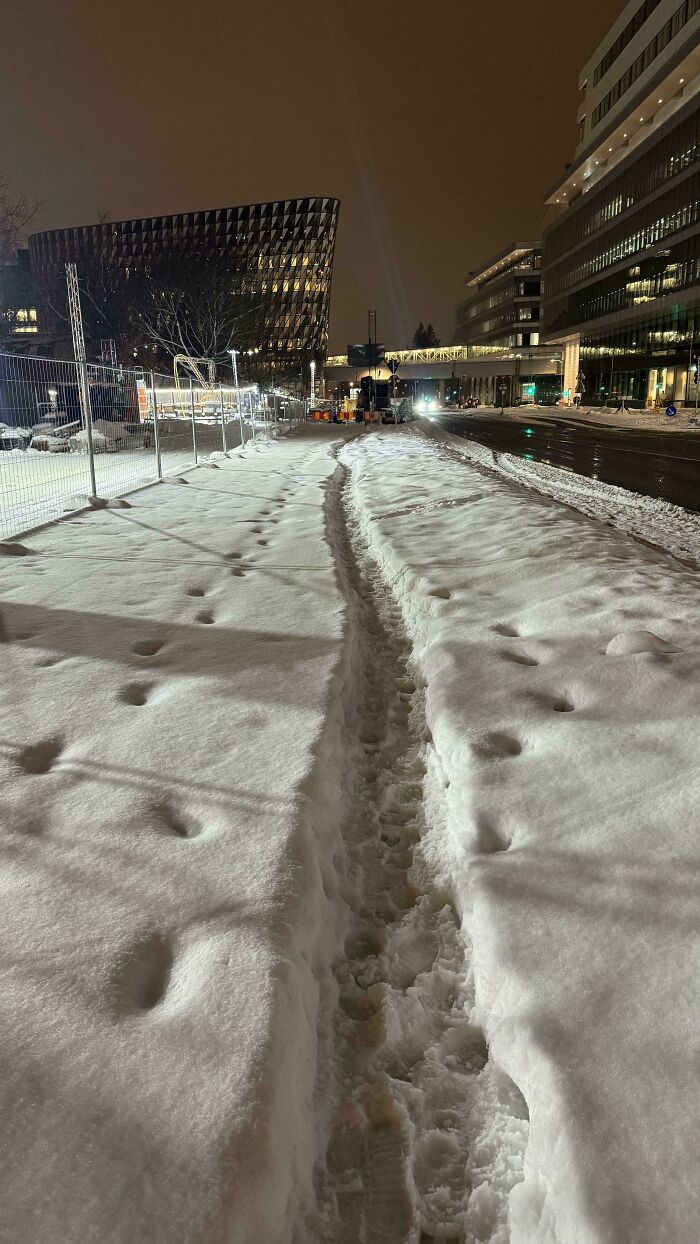 Temporary Desire Path That Won’t Stick Around