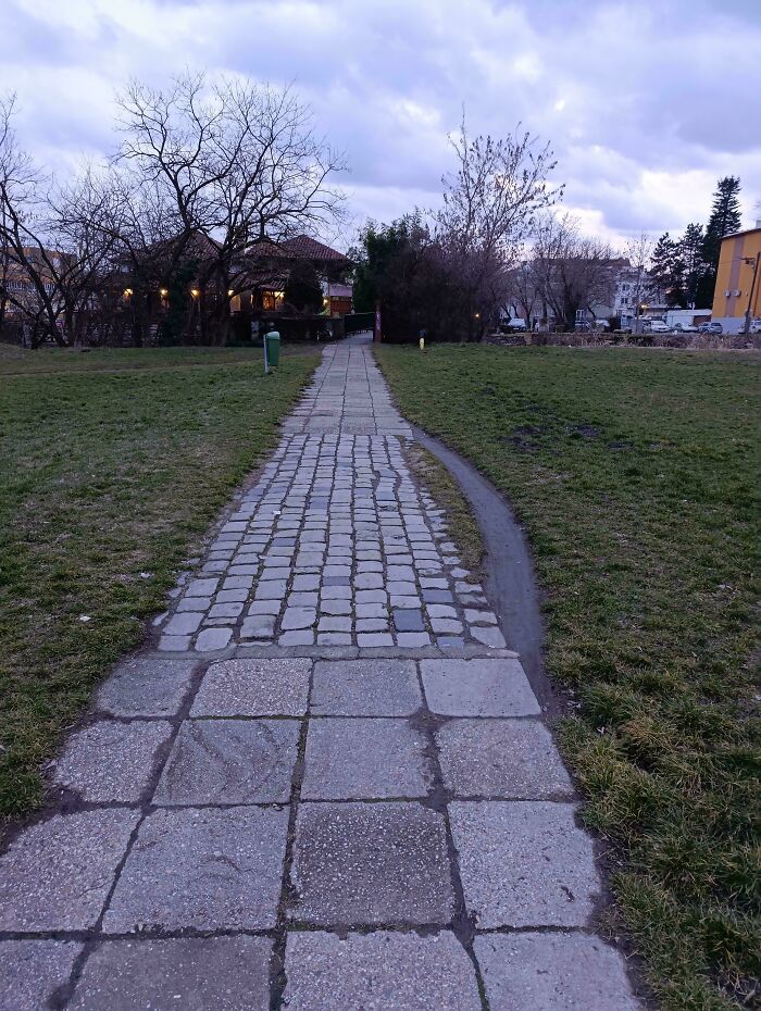 Sneaky Desire Path Somewhere In Slovakia