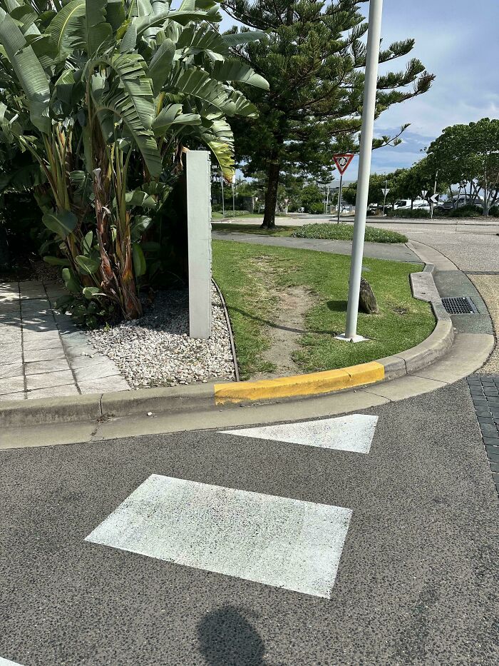 When The Crossing Ends, So Does Your Choice