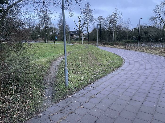 Pavement Is Boring, Grassy Hill Is Way More Fun