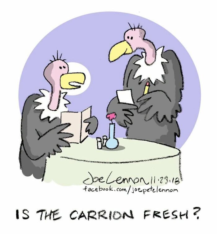 54 Joe Lennon Comics That Take Everyday Weirdness And Make It Hilarious