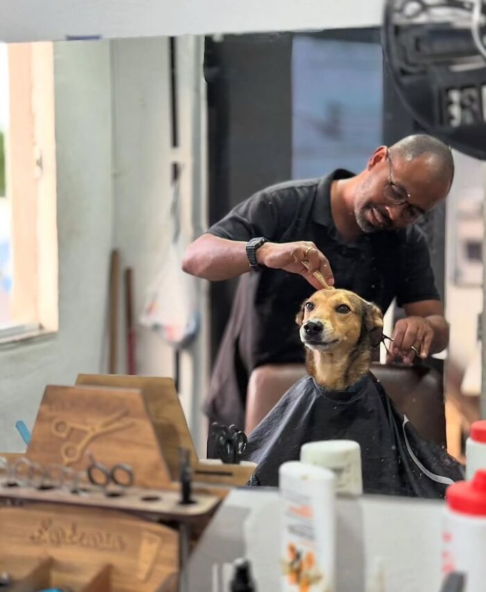 Wait Till You See These 38 Dogs Doing Their Absolute Weirdest (And Cutest) Things!