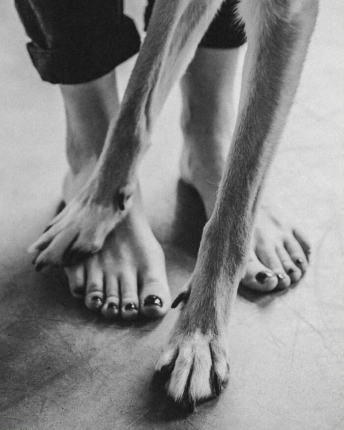 Wait Till You See These 38 Dogs Doing Their Absolute Weirdest (And Cutest) Things!
