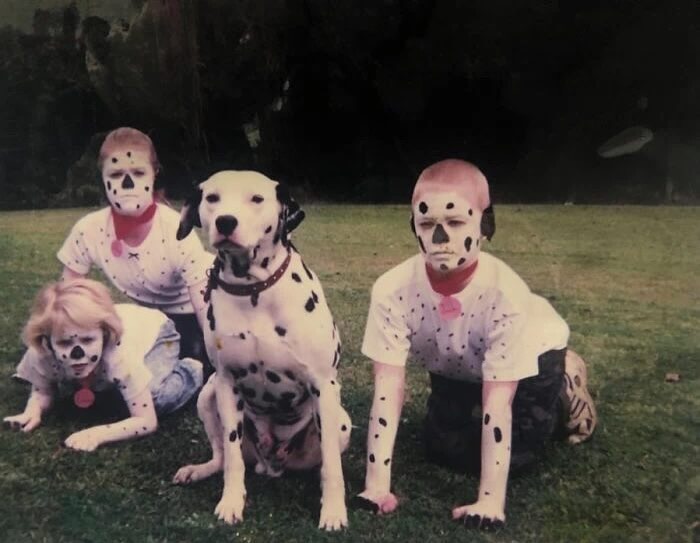 Wait Till You See These 38 Dogs Doing Their Absolute Weirdest (And Cutest) Things!