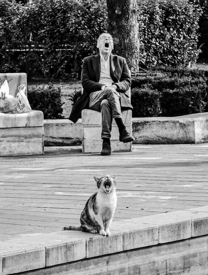 Wait, They Actually Snapped These Awesome Everyday Moments?
