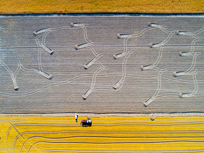 Farmland’s Earth Art