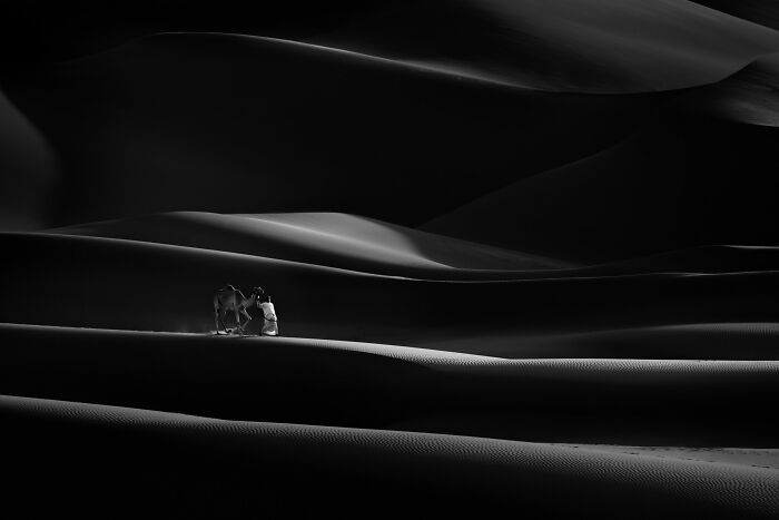 Desert Whisper With Camel