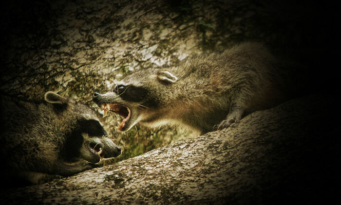 48 Wild Camping Stories That Are Basically Real-Life Horror Flicks
