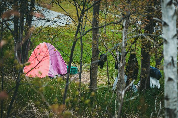 48 Wild Camping Stories That Are Basically Real-Life Horror Flicks