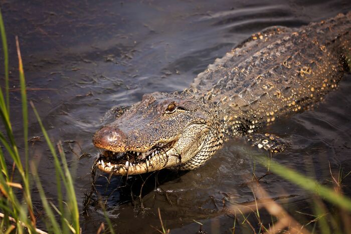 48 Wild Camping Stories That Are Basically Real-Life Horror Flicks