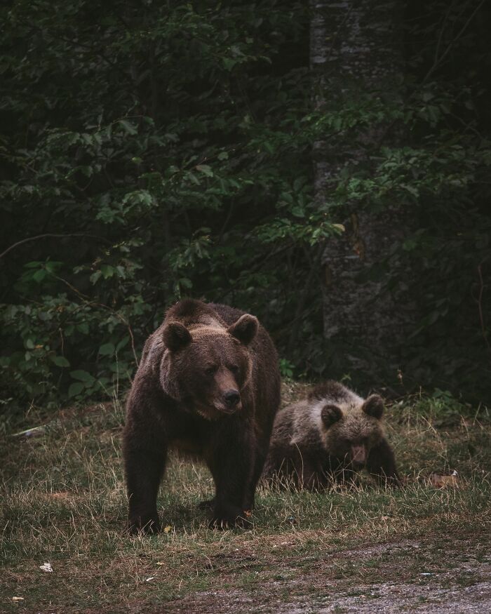 48 Wild Camping Stories That Are Basically Real-Life Horror Flicks