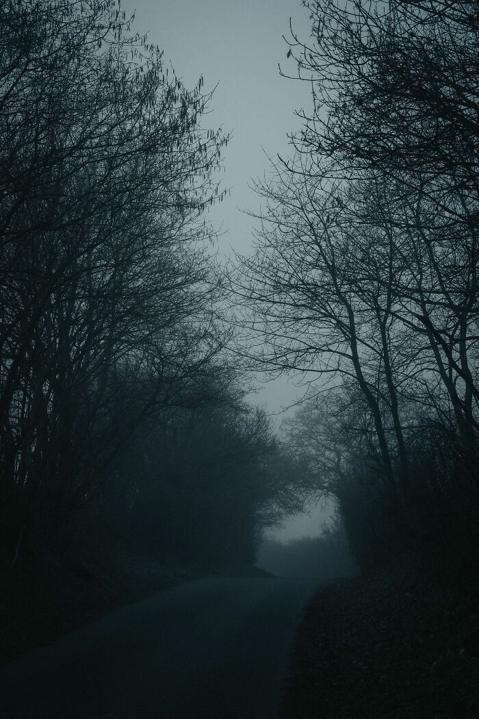 48 Wild Camping Stories That Are Basically Real-Life Horror Flicks