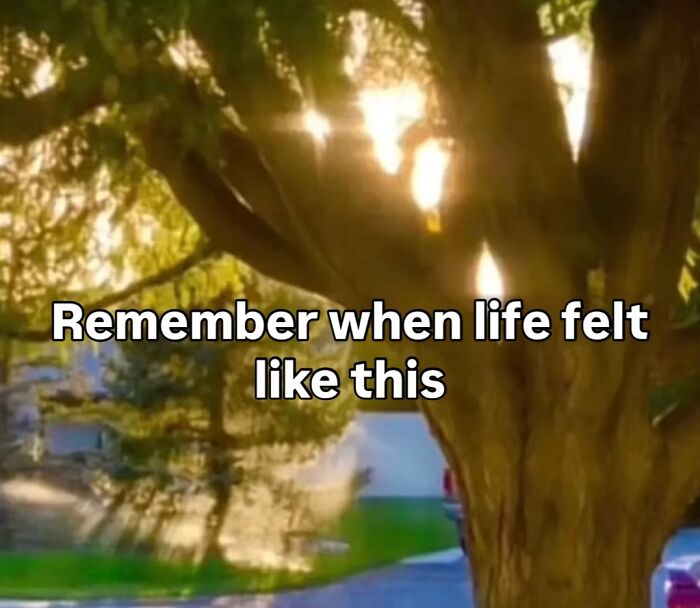 Wait, They Actually Made Memes About the '90s?! 82 Hilarious Blasts From the Past