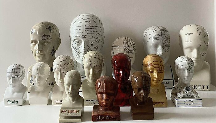 Wait, People Actually Collect This Stuff?!