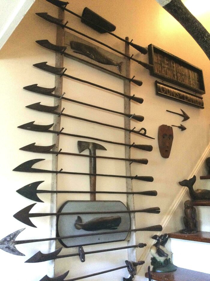 Wait, People Actually Collect This Stuff?!
